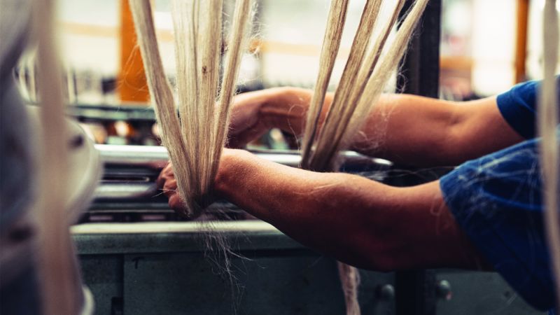 Lino, l&rsquo;unico filato cento per cento europeo
